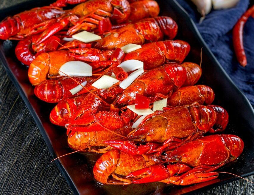 Best Teen Gifts 2026: Top Trendy Gadgets That Theyll Love