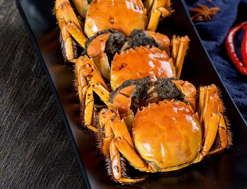 25 Innovative Gadgets for 2026 That Will Simplify Your Daily Life