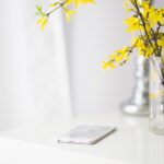 Boosting Mac Performance: Tips After the Latest macOS Sequoia Patch